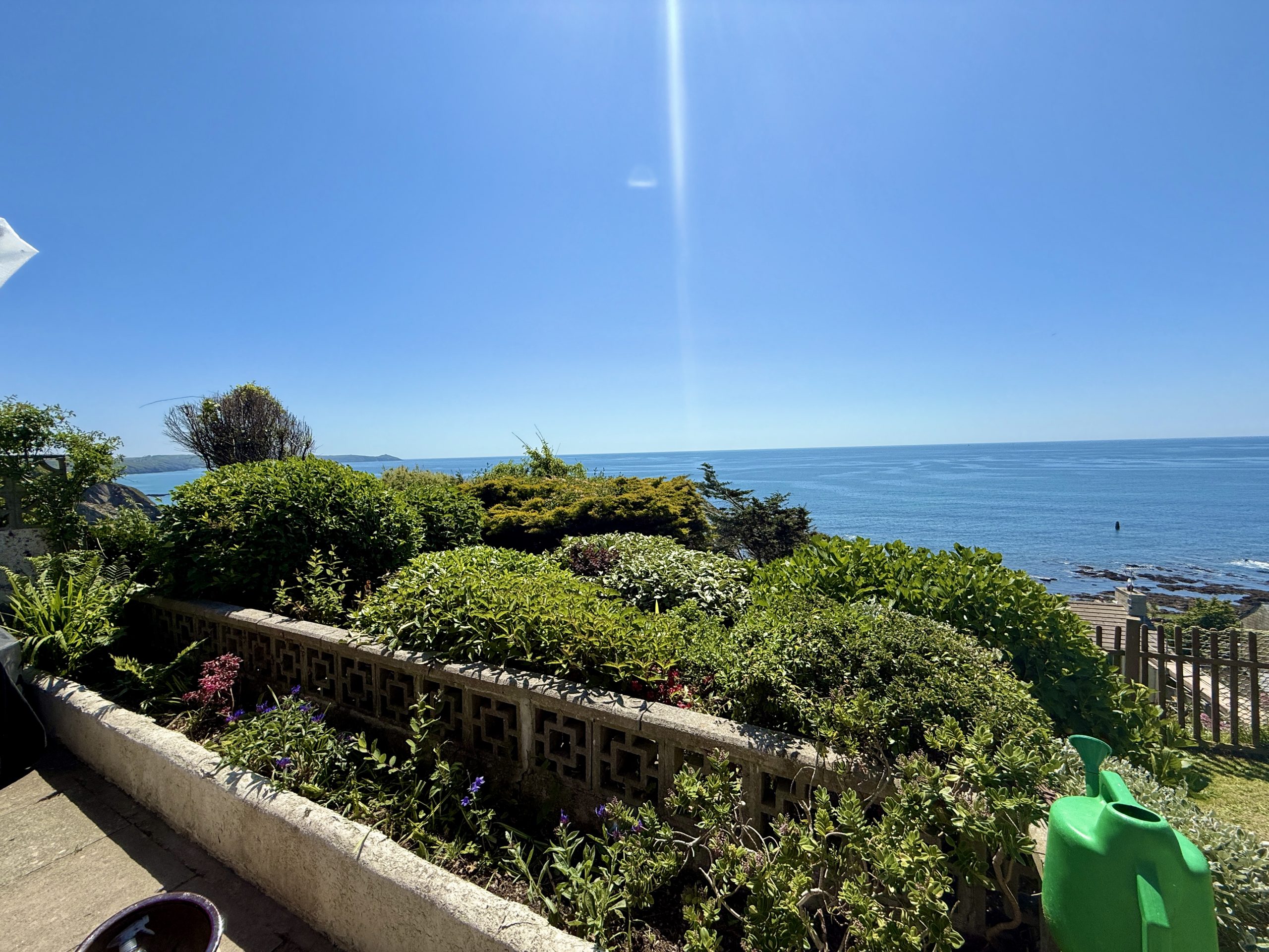 Photo of a thriving garden after regular maintenance by local gardener Corn